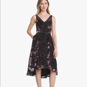 WHBM Petite Floral Cocktail Dress